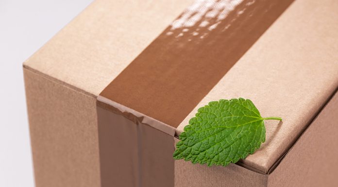 Shipping packages overseas in a sustainable manner