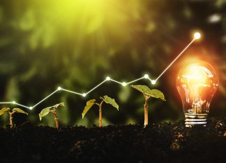 The Importance Of Sustainable Energy For Emerging Businesses Business Sustainability