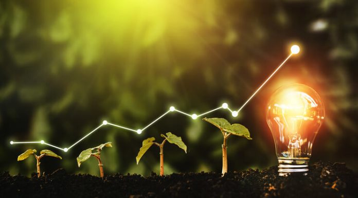 Business Sustainability