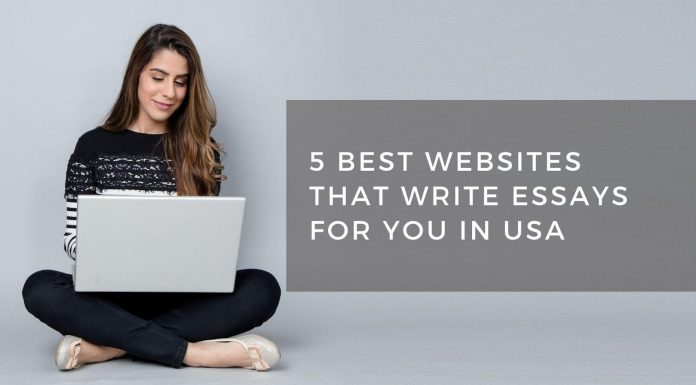 Essay Writing Website