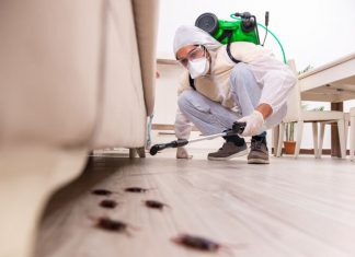 Europe Pest Control industry