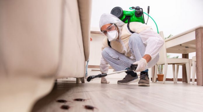 Europe Pest Control industry