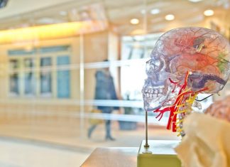 Functional medicine