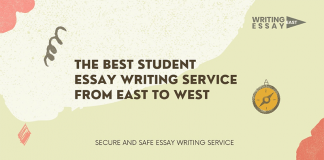 Creating Successful Essays for Students
