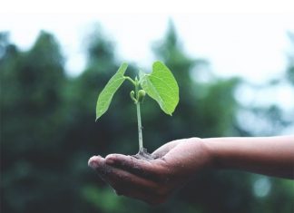 Tips to Grow Your Email Contact List