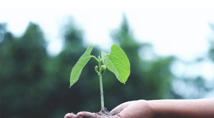 Tips to Grow Your Email Contact List