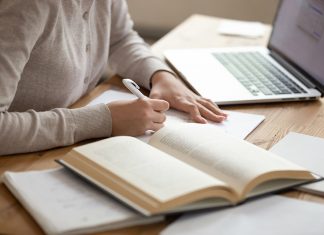 Essay Writing Services