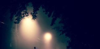 Online games could help us to feel less lonely