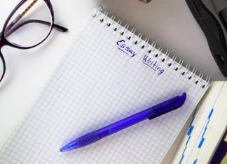 Professional Essay Writers for Hire: Top 4 Websites Essay Writing
