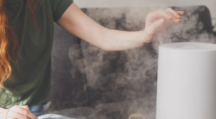 Healthy air. The humidifier distributes steam in the living room. Woman keeps hand over vapor.