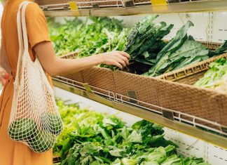 Going Green – Save the Planet with These 14 Useful Eco-friendly Products Mesh Bag - Sustainability