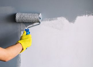 Paint - Interior
