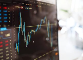 Stock Market