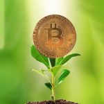 Eco-Friendly cryptocurrency