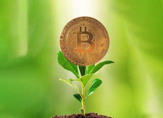 Eco-Friendly cryptocurrency You Should Know About It (2021) Eco-Friendly cryptocurrency