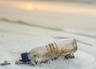 7 Easy Ways to Take Care of the Environment Taking Care of the Environment