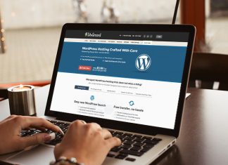 WordPress-Friendly Webhosting Service