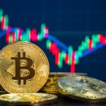 What Are The Reasons Why Investors Should Choose Bitcoin? Bitcoin