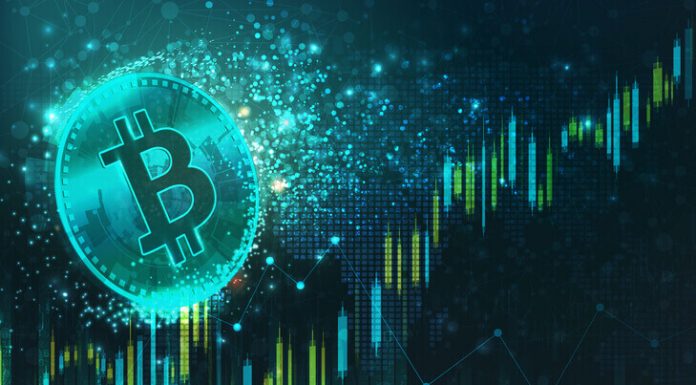 BTC is Booming and Small-caps are Growing Bitcoin