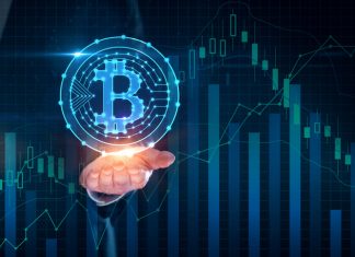 Bitcoin Adoption