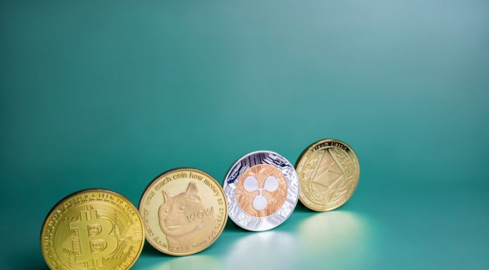 Millennials Invested Most in Cryptocurrency During the Pandemic Cryptocurrency