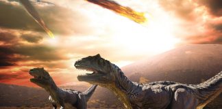 Dinosaurs Became Extinct Before the Asteroid? Dinosaur Extinction