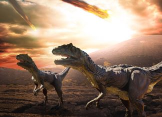 Dinosaur Extinction