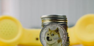5 Best Dogecoin Casinos and Betting Sites To Win Free DOGE Dogecoin