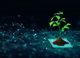 Despite Aggressive Regulation, European Businesses Miss The Sustainability Bar Tree with soil growing on the converging point of computer circuit board. Blue light and wireframe network background. Green Computing, Green Technology, Green IT, csr, and IT ethics Concept.