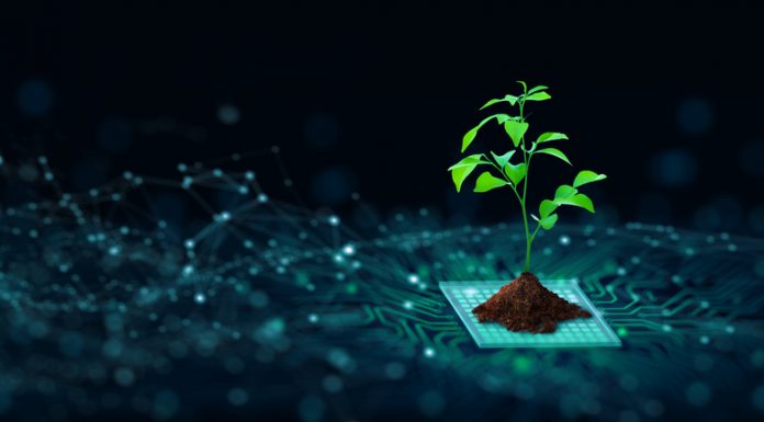 Despite Aggressive Regulation, European Businesses Miss The Sustainability Bar Tree with soil growing on the converging point of computer circuit board. Blue light and wireframe network background. Green Computing, Green Technology, Green IT, csr, and IT ethics Concept.