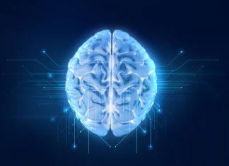 3d rendering of human brain on technology background represent artificial intelligence and cyber space concept