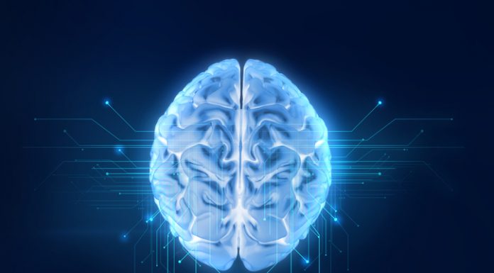 3d rendering of human brain on technology background represent artificial intelligence and cyber space concept