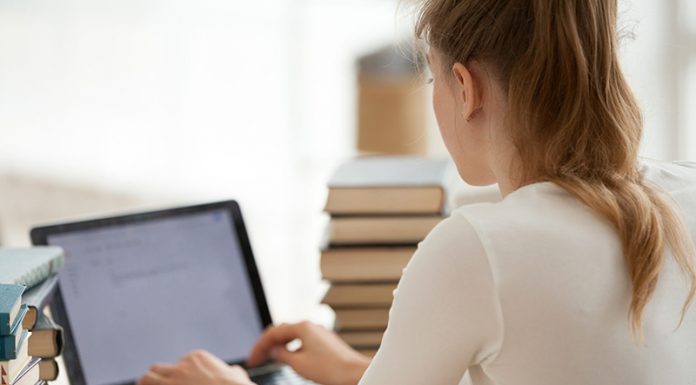 Essay Writer Service