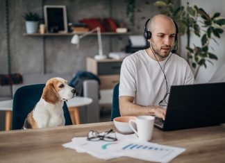 Top 7 Best Practices for Easily Adapting to Work After Quarantine Work After Quarantine