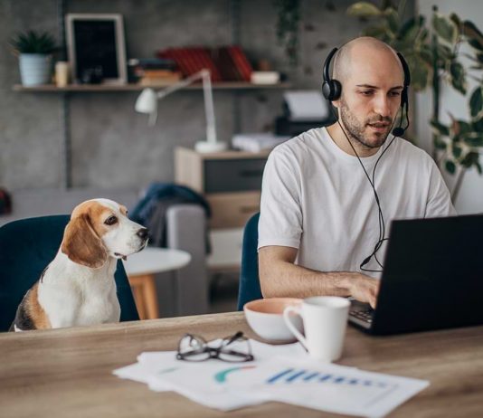 Top 7 Best Practices for Easily Adapting to Work After Quarantine Work After Quarantine