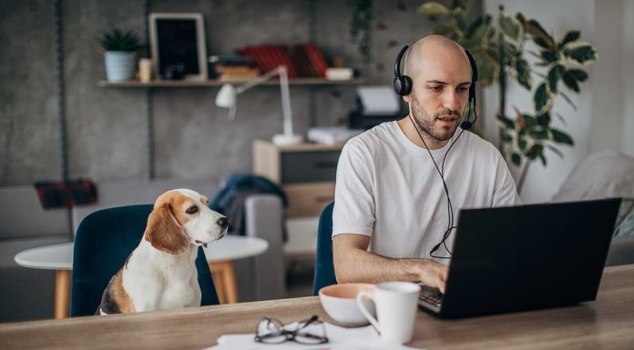 Work After Quarantine