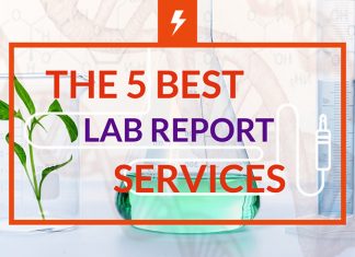 5 Best Lab Report Writing Services: Reviews & Guidelines lab report