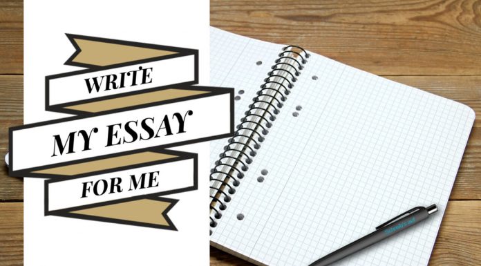 write my essay