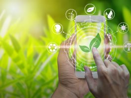 Towards Green Transformation in the EU