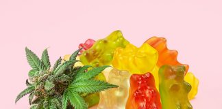 What Are Some of the Types of CBD Gummies Available Today? – Best Cbd Gummies in 2021-22 CBD Gummies