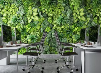 Making Your Office Environmentally Friendly