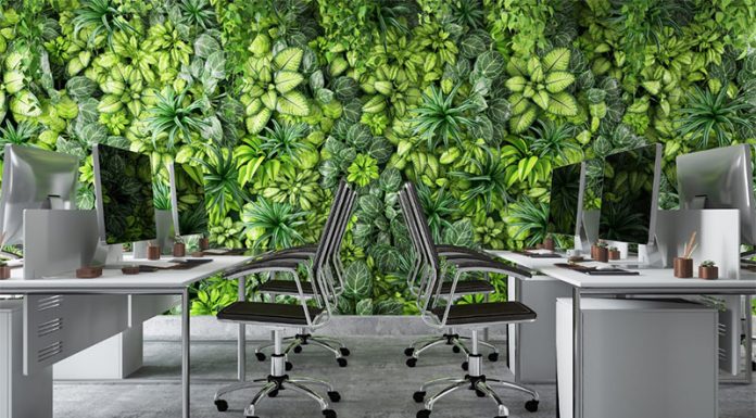 Top Green Tips for Making Your Office Environmentally Friendly Making Your Office Environmentally Friendly