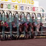 Horse-racing