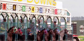 Is Horse Racing Betting A Worthy Investment? Horse-racing