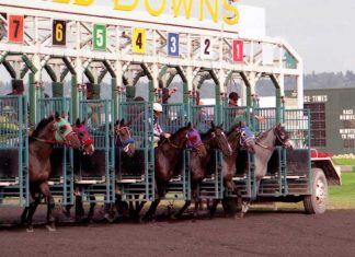 Horse-racing