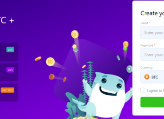 Bets IO