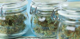 How to be a Successful Cannabis Business Owner Cannabis-store