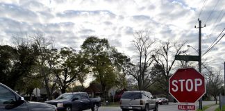 Are Certified Used Cars Better? Things to Take Care of Cars