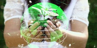 What is Sustainable Investment, and Why Should You Care? Sustainable Investment