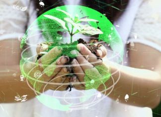 Sustainable Investment